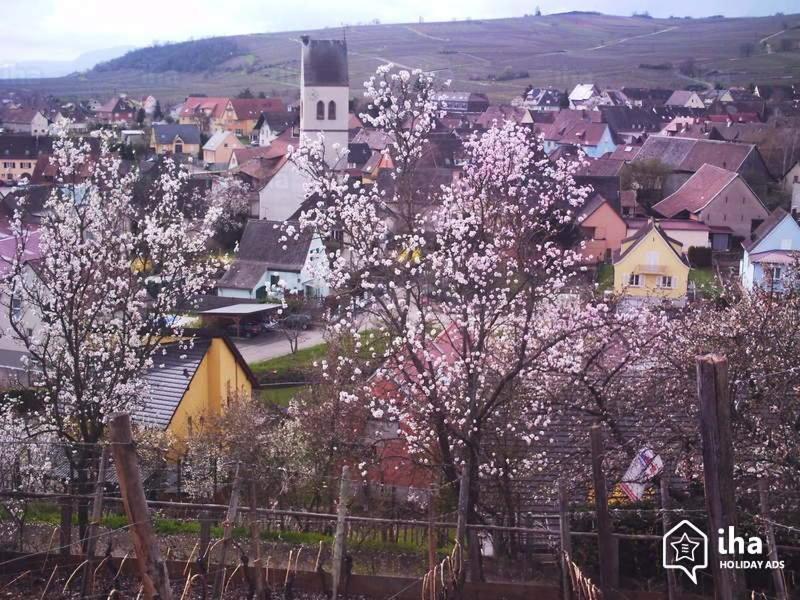 "Les Amandiers" Bed and Breakfast Mittelwihr Exterior foto